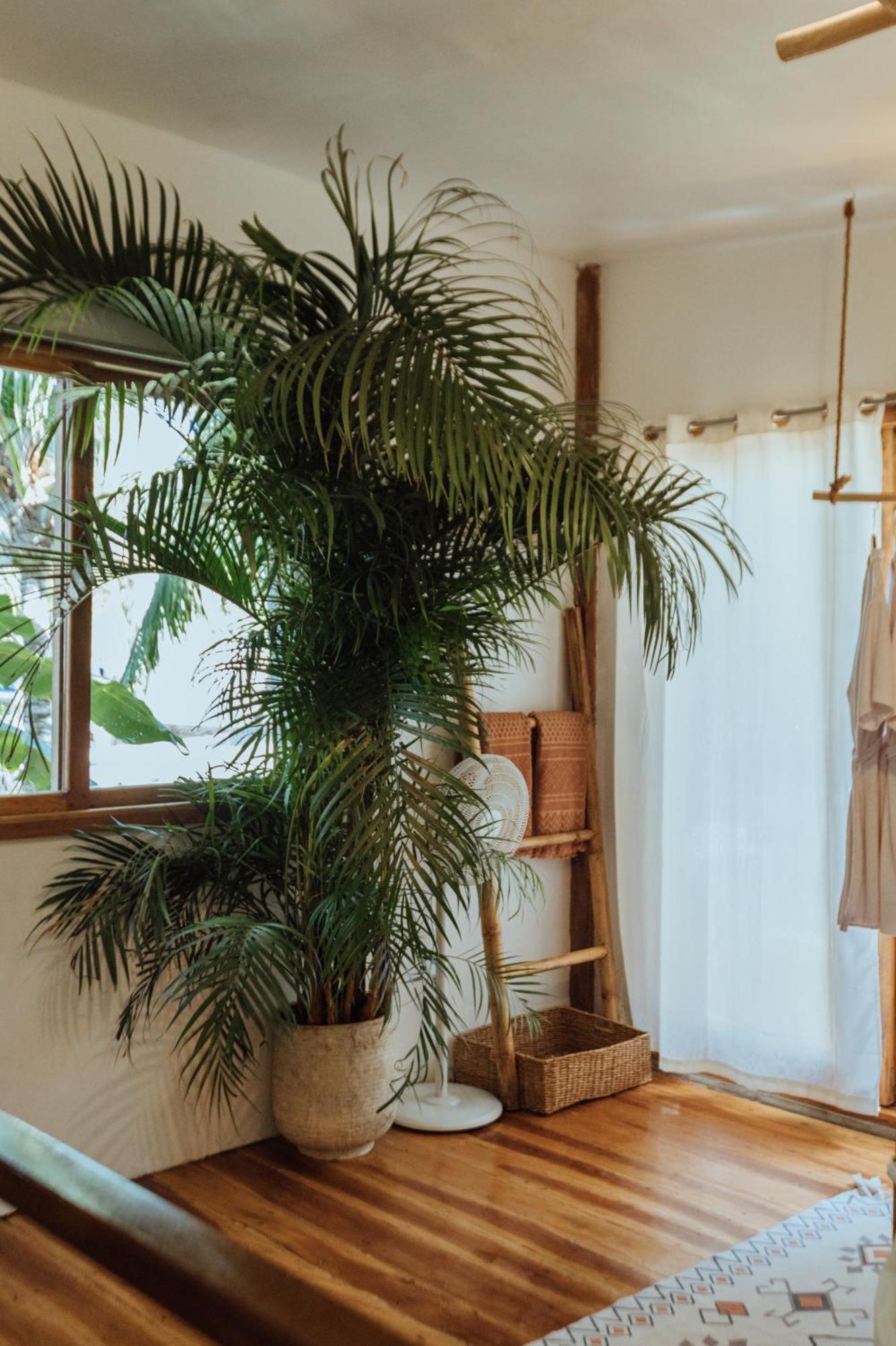 Mango Tango Villas Siargao ゼネラル・ルナ エクステリア 写真
